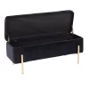 44" Daniella Storage Bench - LumiSource