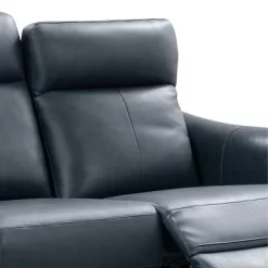Tomasso Leather Power Reclining Sofa With Power Headrest - Abbyson Living -Online Furniture Store GUEST 2ac904e7 4d9e 4518 aa2a d5e331a404ef