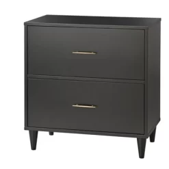 Ana 2 Drawer File Cabinet - Lifestorey -Online Furniture Store GUEST 4456ddd9 53a5 44ce 89f3 419d76d29f03