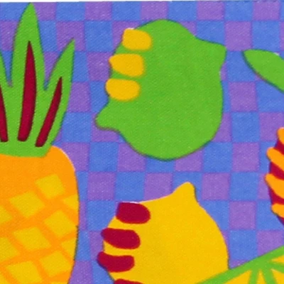 Director's Chair Replacement Canvas Calypso Fruit - Flora Home 1 Director's Chair Replacement Canvas Calypso Fruit - Flora Home