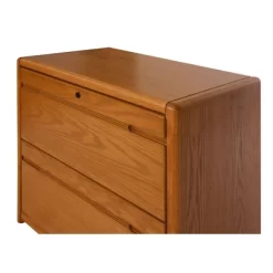 2 Drawer File Brown - Martin Furniture -Online Furniture Store GUEST a0ebeea1 89cd 4b7e b041 6d92f73b8fff