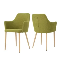 Set Of 2 Zeila Mid Century Dining Chair - Christopher Knight Home -Online Furniture Store GUEST b34d29d0 a73b 4932 ab09 d5d85e11dff5