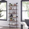 Modern Industrial 6-Tier Iron Pipe Wall Mount Ladder Shelf Distressed Wood - Danya B.